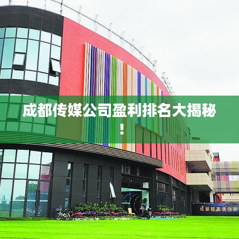 成都传媒公司盈利排名大揭秘!