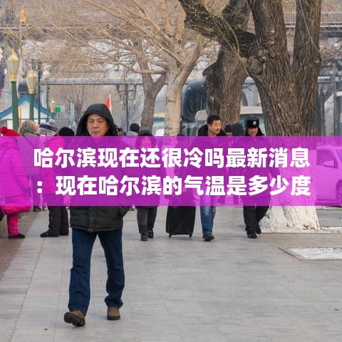哈尔滨现在还很冷吗最新消息:现在哈尔滨的气温是多少度