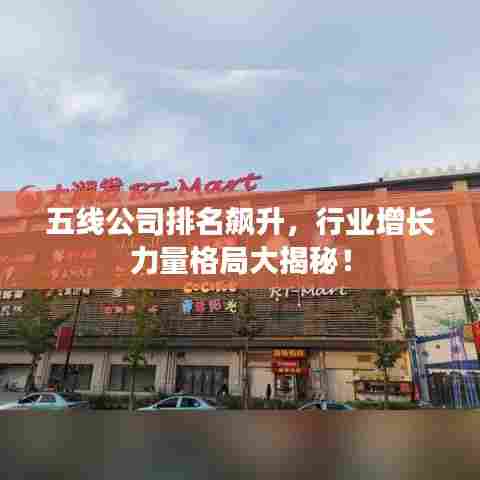 五线公司排名飙升,行业增长力量格局大揭秘!