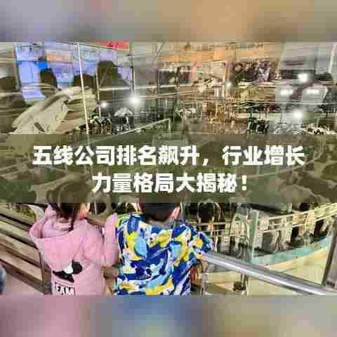 五线公司排名飙升,行业增长力量格局大揭秘!