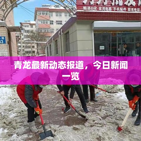 青龙最新动态报道,今日新闻一览
