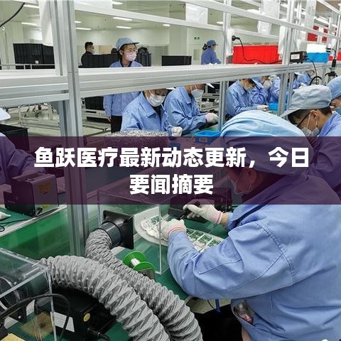 鱼跃医疗最新动态更新,今日要闻摘要