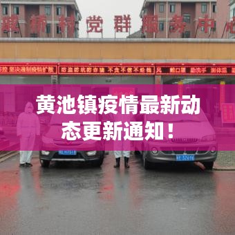 黄池镇疫情最新动态更新通知!