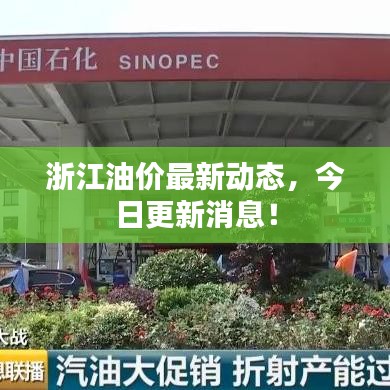 浙江油价最新动态，今日更新消息！