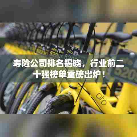 寿险公司排名揭晓,行业前二十强榜单重磅出炉!