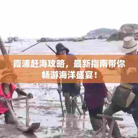 霞浦赶海攻略，最新指南带你畅游海洋盛宴！