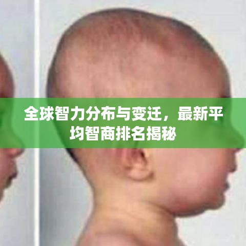 全球智力分布与变迁,最新平均智商排名揭秘