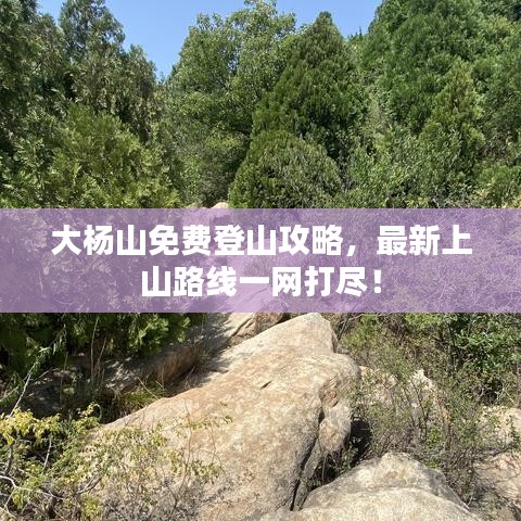 大杨山免费登山攻略，最新上山路线一网打尽！