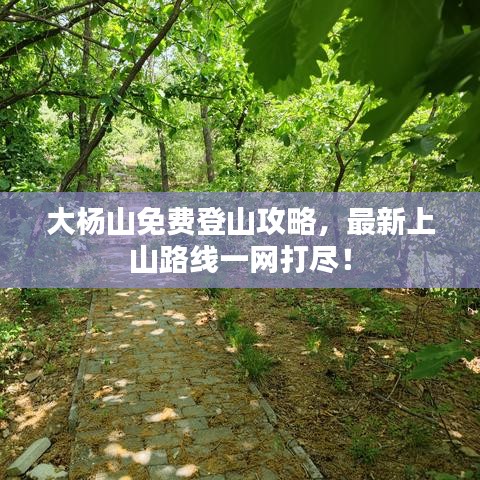 大杨山免费登山攻略,最新上山路线一网打尽!