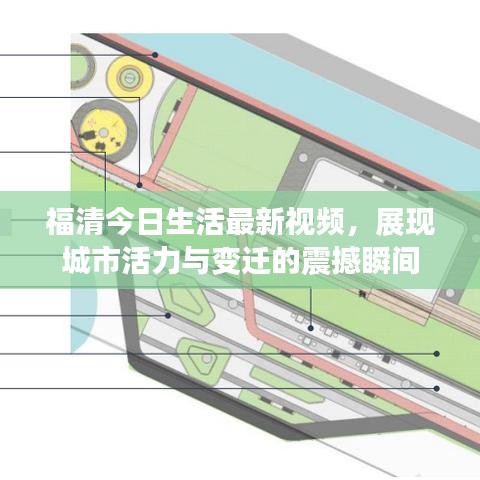福清今日生活最新视频,展现城市活力与变迁的震撼瞬间