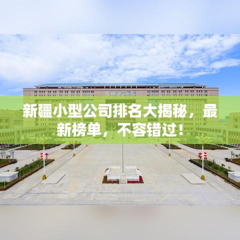 新疆小型公司排名大揭秘,最新榜单,不容错过!