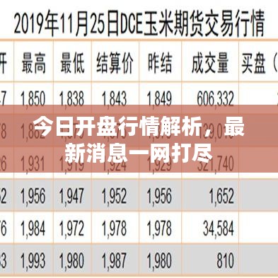 今日开盘行情解析,最新消息一网打尽