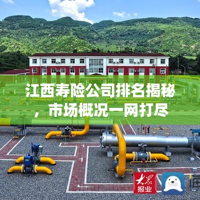 江西寿险公司排名揭秘，市场概况一网打尽