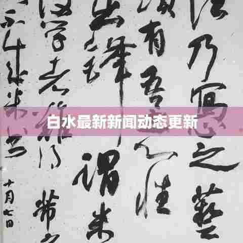 白水最新新闻动态更新