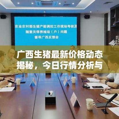 广西生猪最新价格动态揭秘,今日行情分析与趋势预测