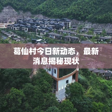 葛仙村今日新动态，最新消息揭秘现状
