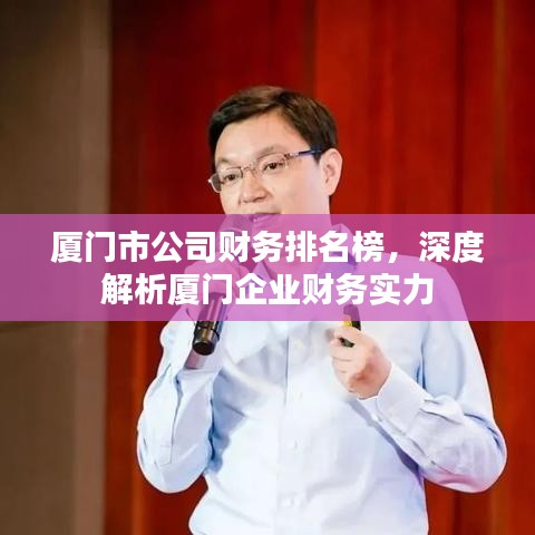 厦门市公司财务排名榜,深度解析厦门企业财务实力