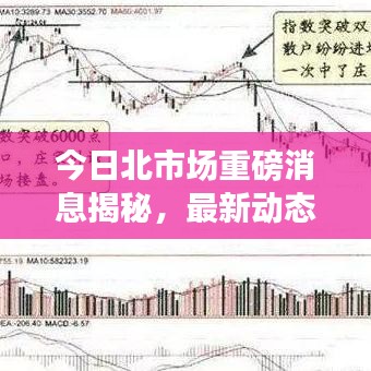 今日北市场重磅消息揭秘,最新动态一网打尽