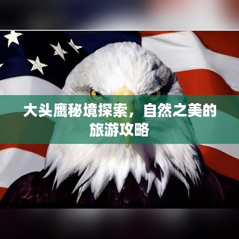 大头鹰秘境探索,自然之美的旅游攻略