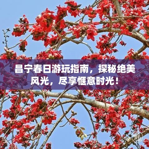 昌宁春日游玩指南,探秘绝美风光,尽享惬意时光!