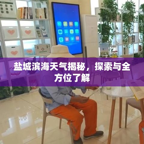盐城滨海天气揭秘,探索与全方位了解