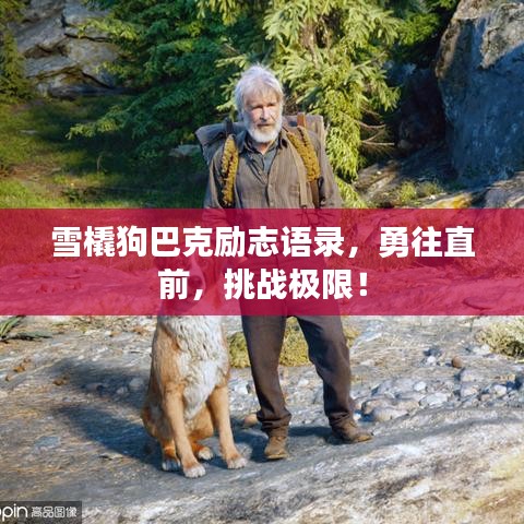雪橇狗巴克励志语录,勇往直前,挑战极限!