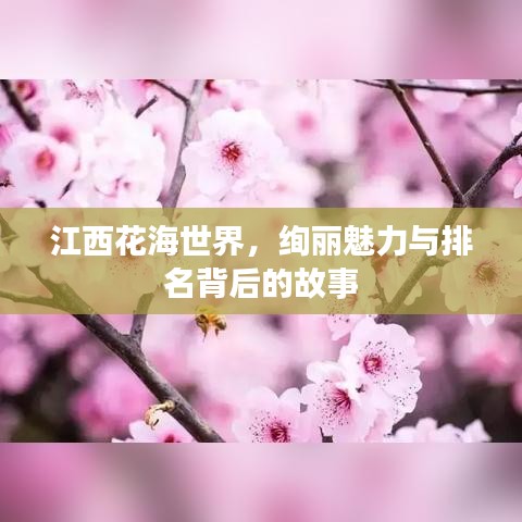江西花海世界,绚丽魅力与排名背后的故事