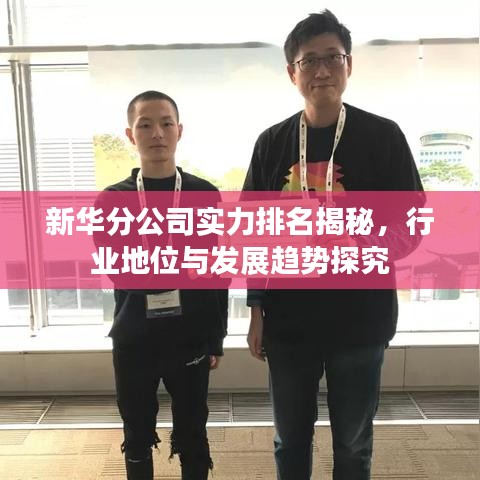 新华分公司实力排名揭秘,行业地位与发展趋势探究