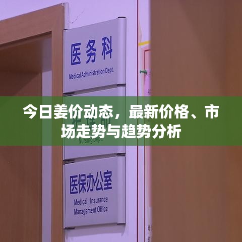 今日姜价动态,最新价格、市场走势与趋势分析