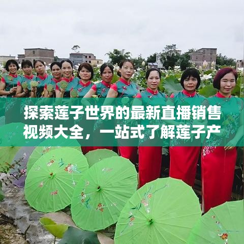 飞天遁地 第5页