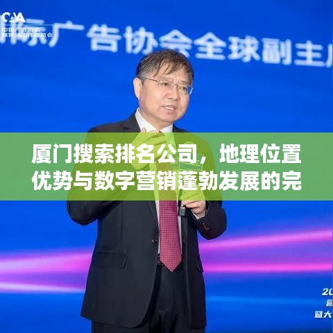 厦门搜索排名公司，地理位置优势与数字营销蓬勃发展的完美结合