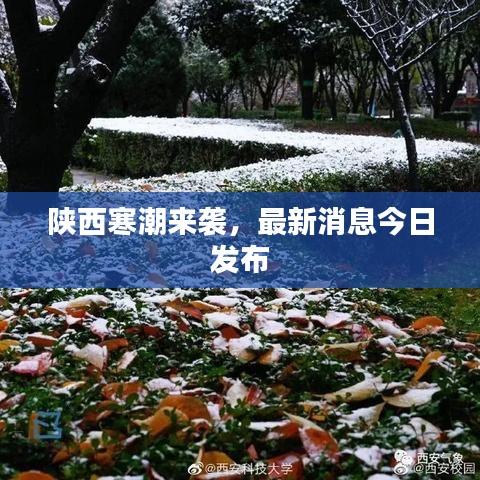 陕西寒潮来袭，最新消息今日发布