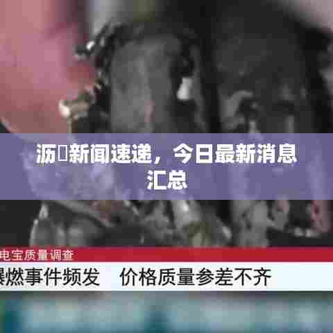 沥滘新闻速递,今日最新消息汇总