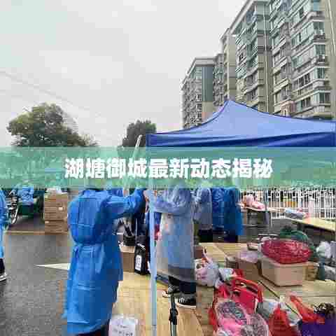 湖塘御城最新动态揭秘