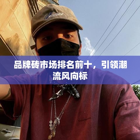 品牌砖市场排名前十,引领潮流风向标