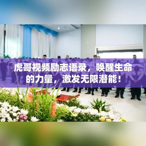 见仁见智 第4页