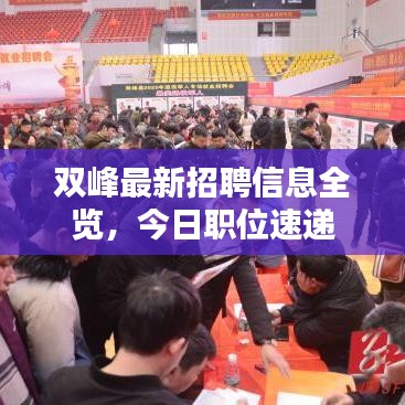 双峰最新招聘信息全览,今日职位速递