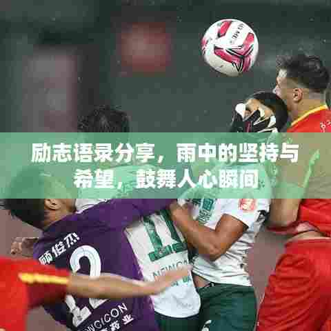 励志语录分享,雨中的坚持与希望,鼓舞人心瞬间
