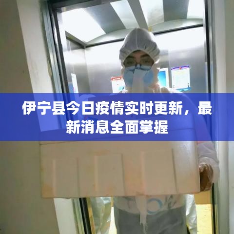 伊宁县今日疫情实时更新，最新消息全面掌握