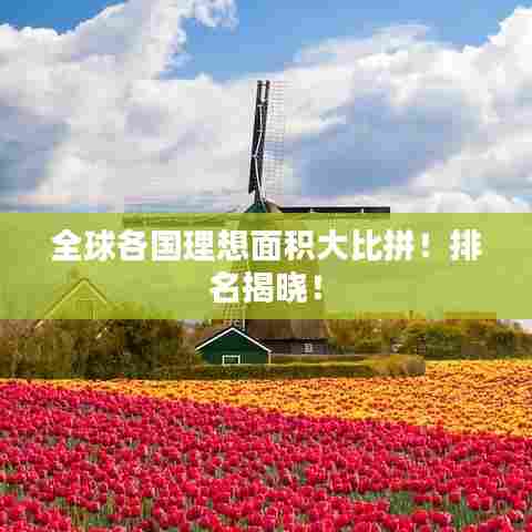 不飞则已 第5页