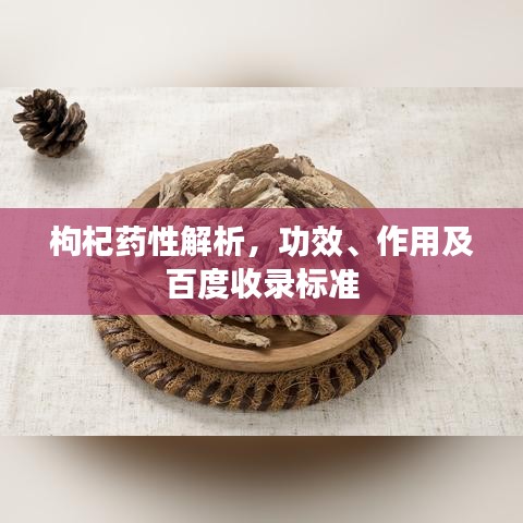 枸杞药性解析,功效、作用及百度收录标准
