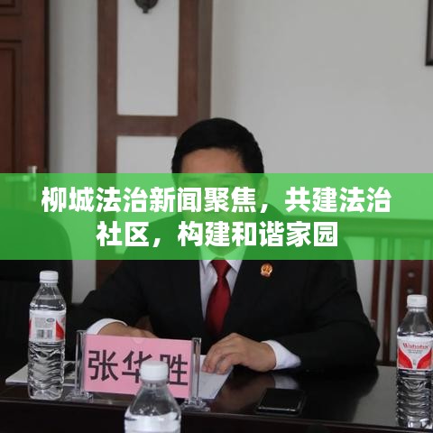 夫妻本是同 第4页