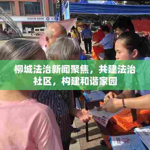 柳城法治新闻聚焦,共建法治社区,构建和谐家园