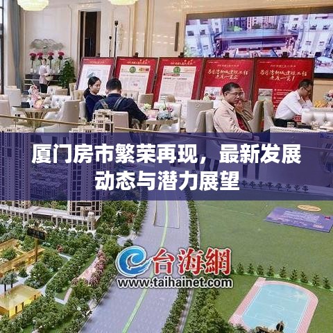 厦门房市繁荣再现,最新发展动态与潜力展望