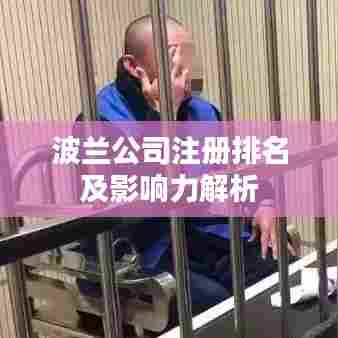 波兰公司注册排名及影响力解析