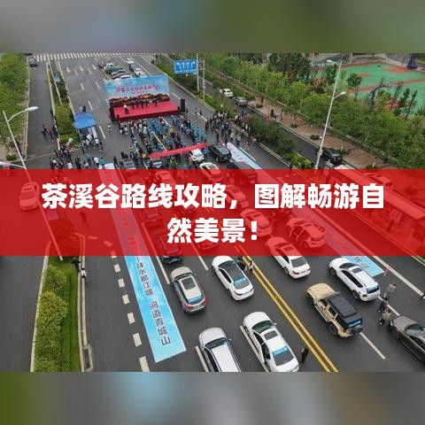 茶溪谷路线攻略,图解畅游自然美景!
