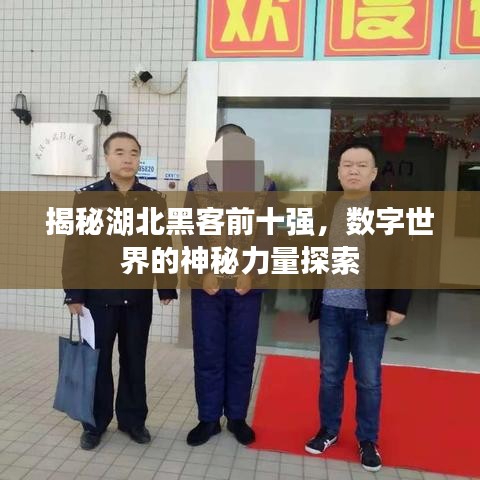 揭秘湖北黑客前十强,数字世界的神秘力量探索