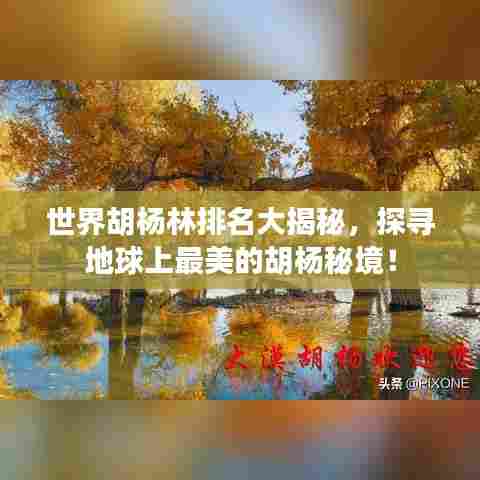 世界胡杨林排名大揭秘,探寻地球上最美的胡杨秘境!