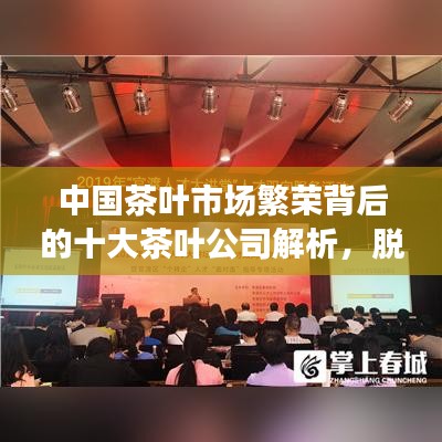 中国茶叶市场繁荣背后的十大茶叶公司解析,脱颖而出,引领行业风潮!