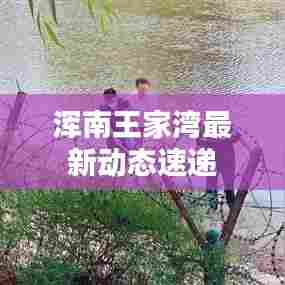 浑南王家湾最新动态速递